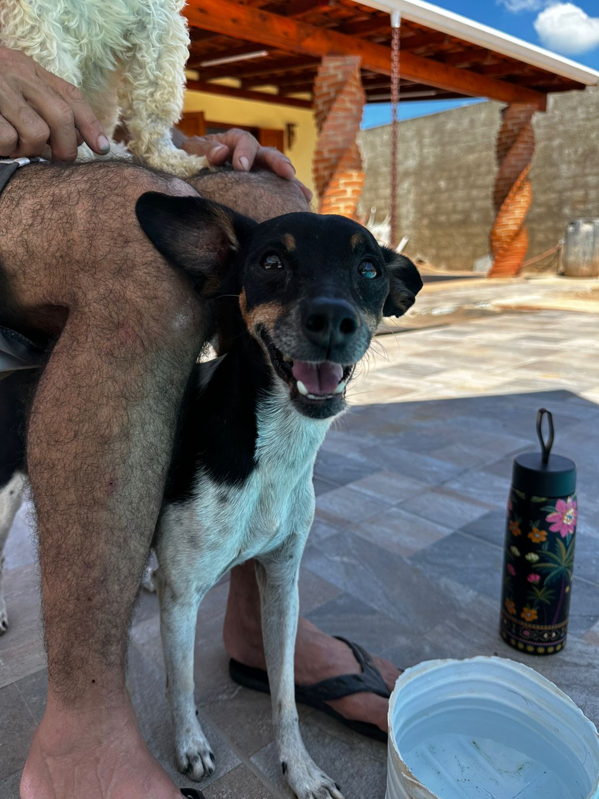 Oi, eu sou o CTO Bob.