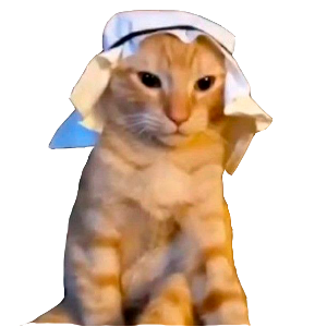 Gato Árabe Clipes