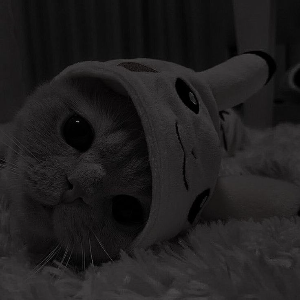 AsmrCat