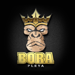 bora pleya