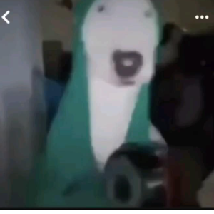 Diiigo