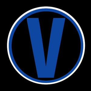 VizinYT