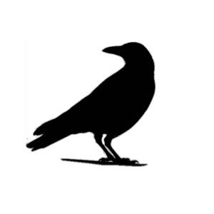 OCritico