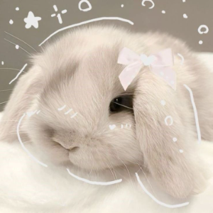 ✦ ・dinheirinhos・✦