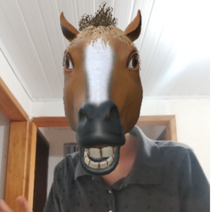 Emirando Reginaldo Pinto