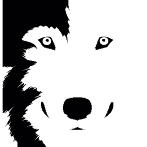 IgorWolfz