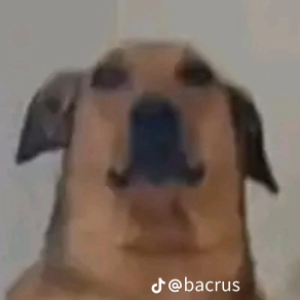 GABRIELPLAY69