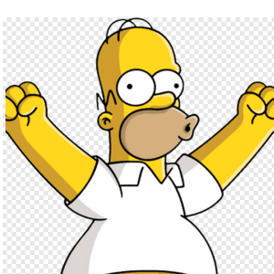 homerzinho