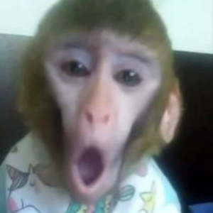 Yan