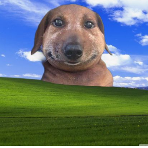 Luixzzl