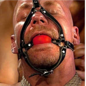 Bdsmdomsub