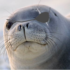 Liquid_Foca