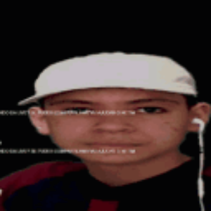 netimapelao