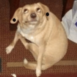 EderPvP