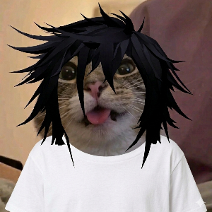 SafiSafi