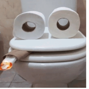Pagina de doação Mister