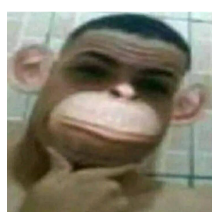 Har1zx